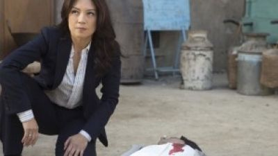 Agents of S.H.I.E.L.D Season 2 Episode 17 Review and After Show “Melinda” Photo