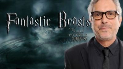 Alfonso Cuaron Will Not Direct FANTASTIC BEASTS AND WHERE TO FIND THEM – AMC Movie News Photo