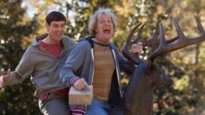 DUMB AND DUMBER TO First Trailer Hits The Web – AMC Movie News Photo