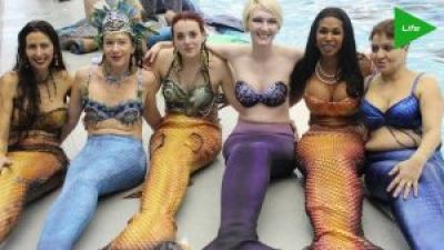 People Working As MERMAIDS?? On theFeed! Photo