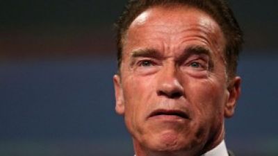 Is Arnold Schwarzenegger’s Solo Career Over? – AMC Movie News Photo