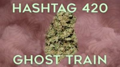 Hashtag 420 Girl Scout Cookies on theStream.tv Photo