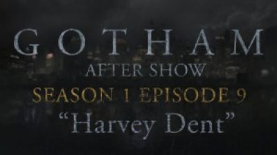 Gotham After Show “Harvey Dent” Highlights Photo