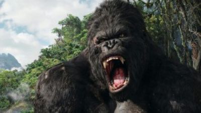 Will We See Another KING KONG? – AMC Movie News Photo