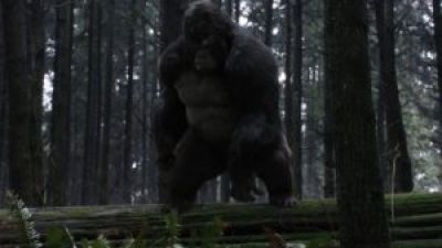 The Flash Season 3 Episode 13 “Attack on Gorilla City” After Show Photo