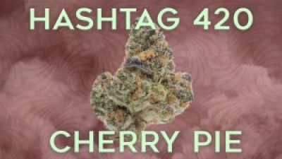 Cherry Pie with Rae Okino Hashtag 420 on theStream.tv Photo