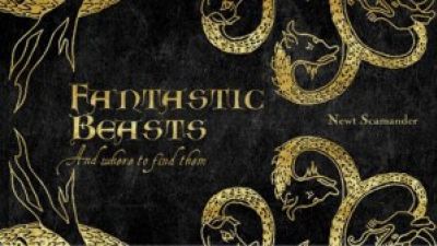 FANTASTIC BEASTS AND WHERE TO FIND THEM Get’s A Release Date – AMC Movie News Photo
