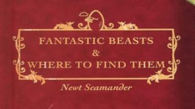 FANTASTIC BEASTS AND WHERE TO FIND THEM To Be A Mega Trilogy – AMC Movie News Photo